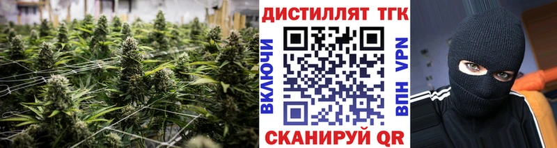 где купить наркоту  Заречный  ТГК вейп с тгк 