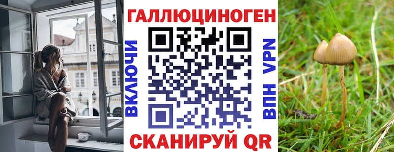 Псилоцибиновые грибы ЛСД  где купить наркотик  Заречный 