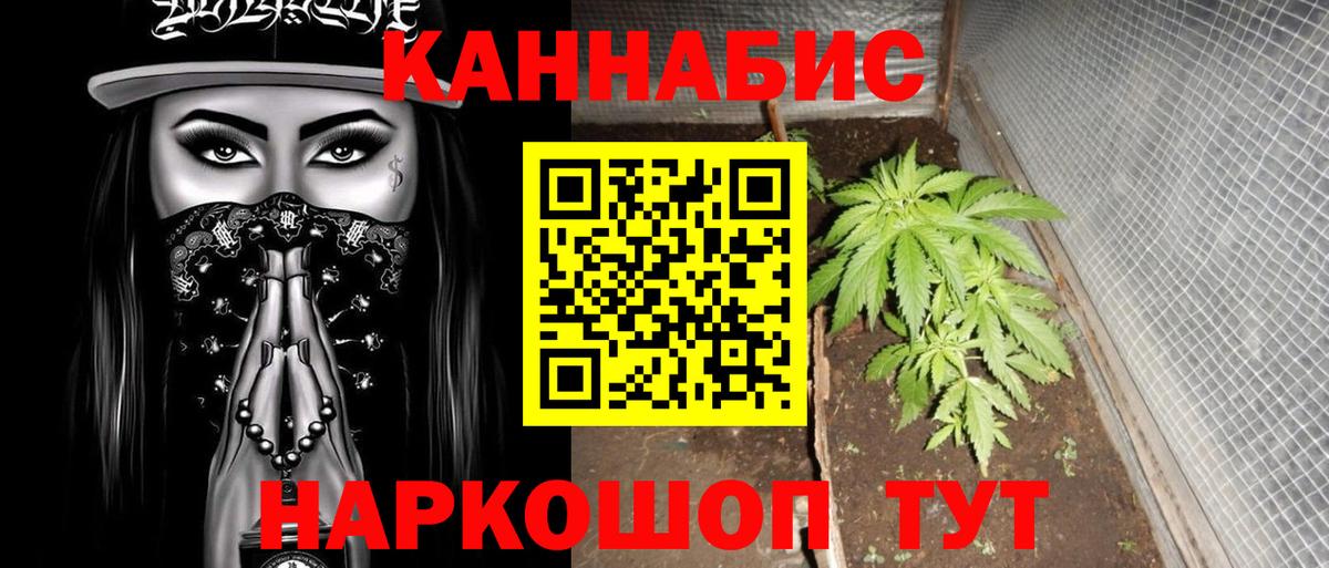 Заречный  Бошки марихуана White Widow  Вход с VPN  Бошки марихуана гибрид  Шишки марихуана MAZAR 